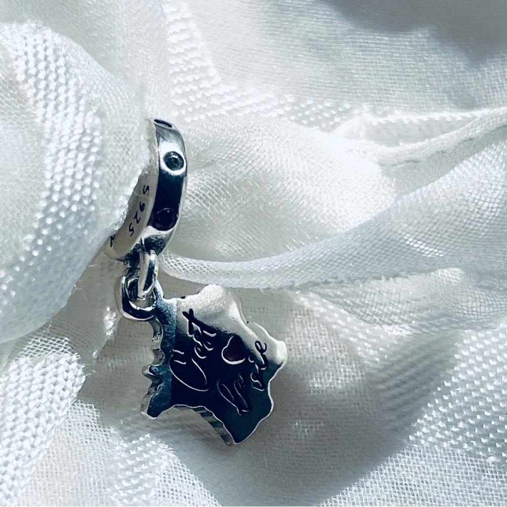 ❤️NWOT France Charm – "C'est la Vie" - Picture 8 of 13